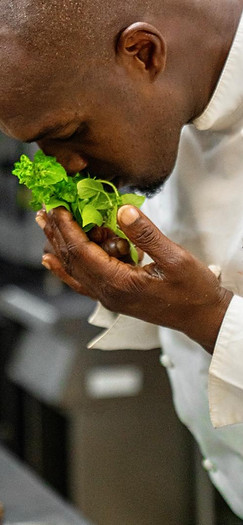 WhatsApp Image 2025-12-12 at 13.08.56.jpeg