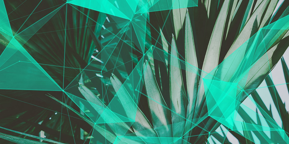 Reactive Horizons