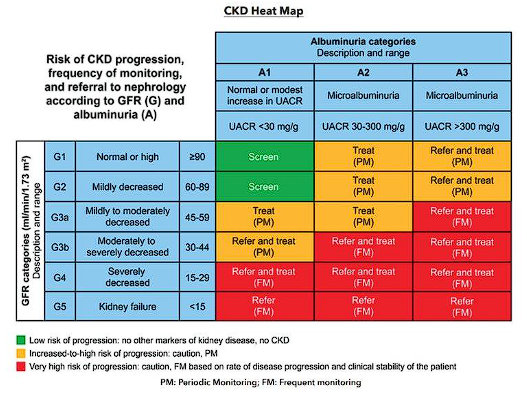 CKD Heat Map showing risk of CKD progression, frequency of monitoring, and referral to nephrology based on GFR categories (G1–G5) and albuminuria categories (A1–A3). Color-coded grid indicates low risk (green: screen), increased-to-high risk (yellow/orange: treat with periodic monitoring), and very high risk (red: refer and treat with frequent monitoring). GFR ranges from ≥90 (normal) to <15 (kidney failure); UACR ranges from <30 mg/g to >300 mg/g.