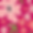 Mothers day background image.png