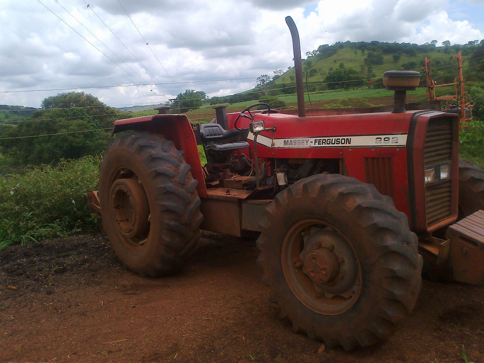 Massey Ferguson 292