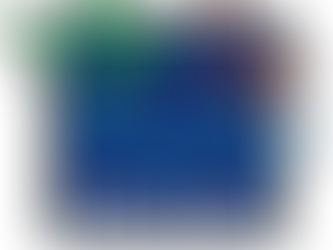 CTF APP e RAPP IBAMA