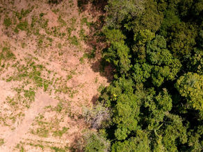 Estudo de Impacto Ambiental - O que é e para que serve?