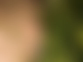Estudo de Impacto Ambiental - O que é e para que serve?