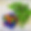 Thumbnail: Star Basket