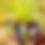 Thumbnail: Star Basket