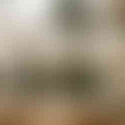 Luxury Mexico Wedding Venue Villa La Joya