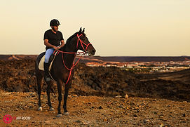 Trail Ride Promo-11.jpg