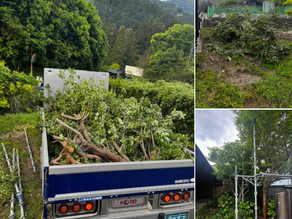 お隣から頼まれて伐採した木と枝