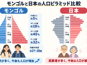モンゴルの人口ピラミッドを日本と比較|若者が多い成長国の特徴