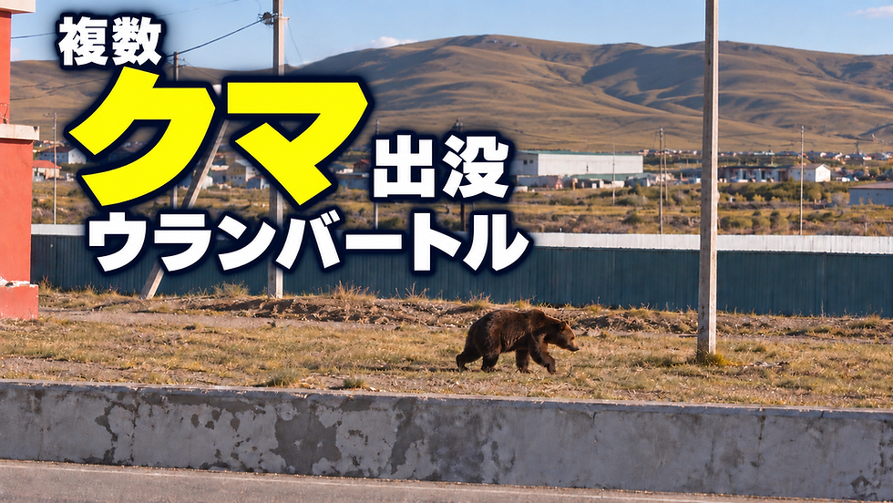草地を歩くヒグマと、背景の山並みや電柱。左に複数 クマ 出没 ウランバートルの大きな文字。