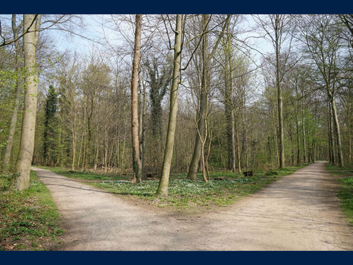 Cíntia e Manuela: duas mulheres e dois caminhos, um só destino