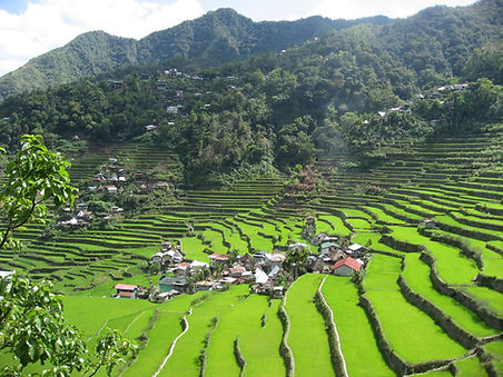 Philippines 2015.JPG