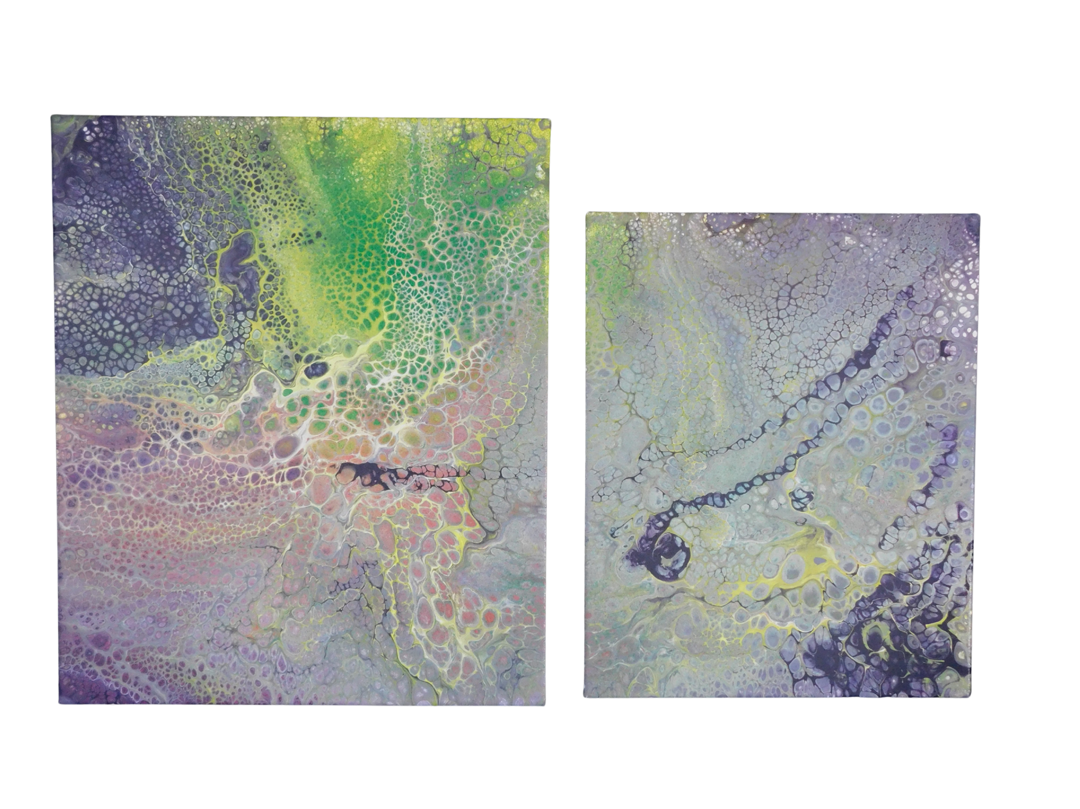 ESO 50x60 (1) 40x50cm (1).png