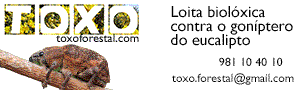 nuevo banner cg.gif