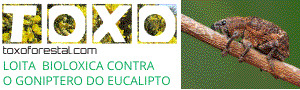 banner crello goniscg.gif