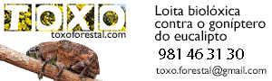 nuevo banner cg copia 2.gif