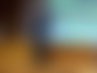 CONFERENCIA AQUILES CASTAÑEDA BOHMER