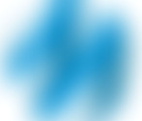 Jóvenes en foros internacionales