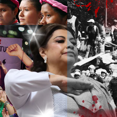 CLARA BRUGADA: ANIMALISMO Y CICLOVÍAS COMO MÁSCARAS DE UNA FALSA IZQUIERDA