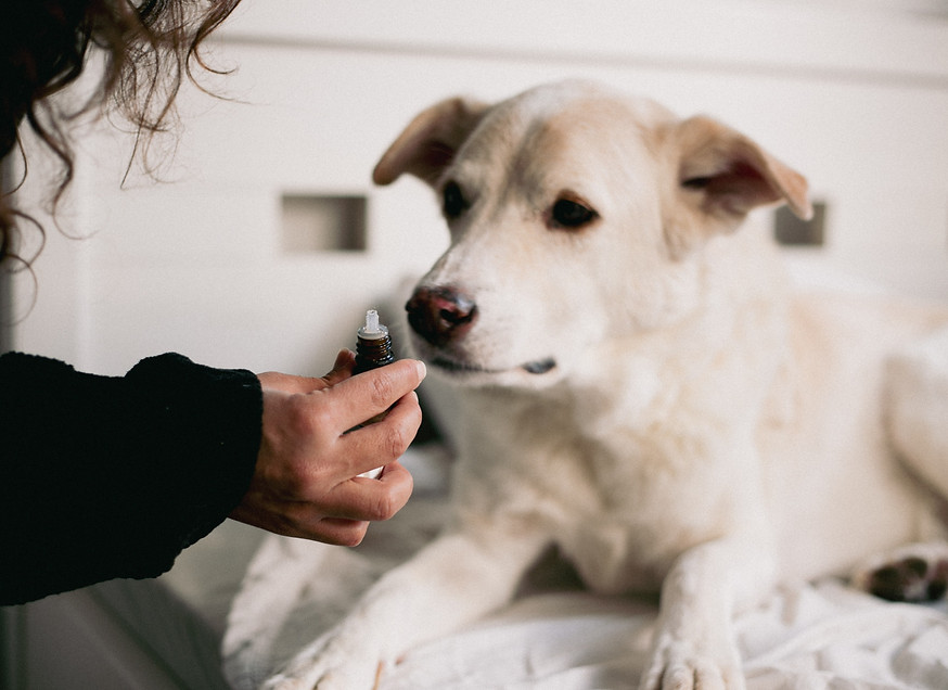 אופל מלך צמחי מרפא לבעלי חיים (4).jpg