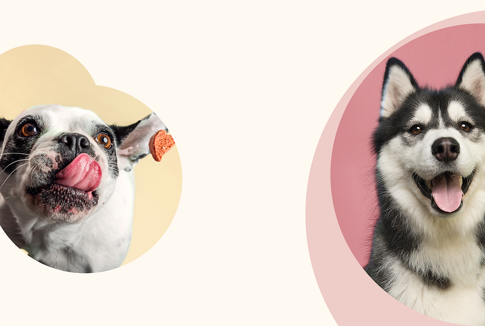 HeaderPhoto2.png