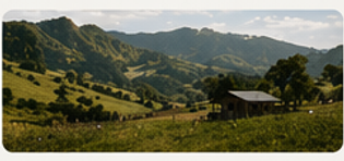 perda de margem na pecuária