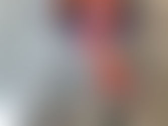 今週の予定|2月2日~8日