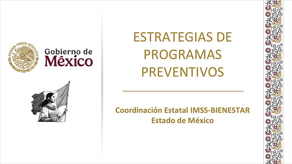 PRESENTACION ESTRATEGIAS 1°2°3° NIVEL.jpg