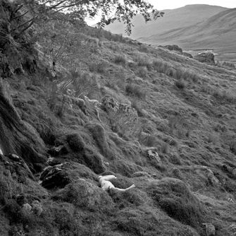 nude, outdoors, landscape, textures, monochrome