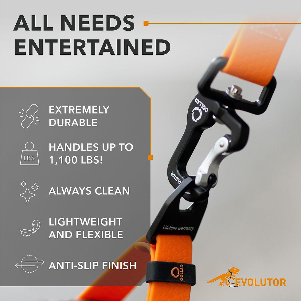 Miniatura: Orange Extra Heavy Duty Dog Leash 4 Ft x 1 in for Large Medium and Small Dogs