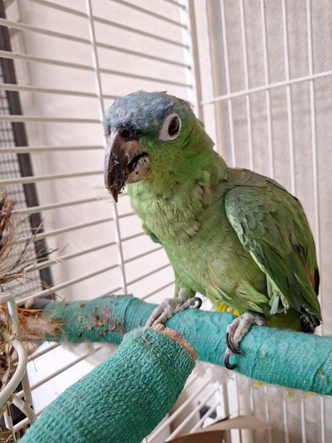image (52).jpeg