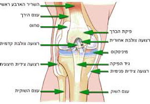 ברך2.jpg