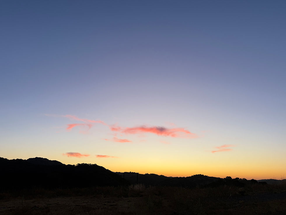 Are Blogs Still A Thing?