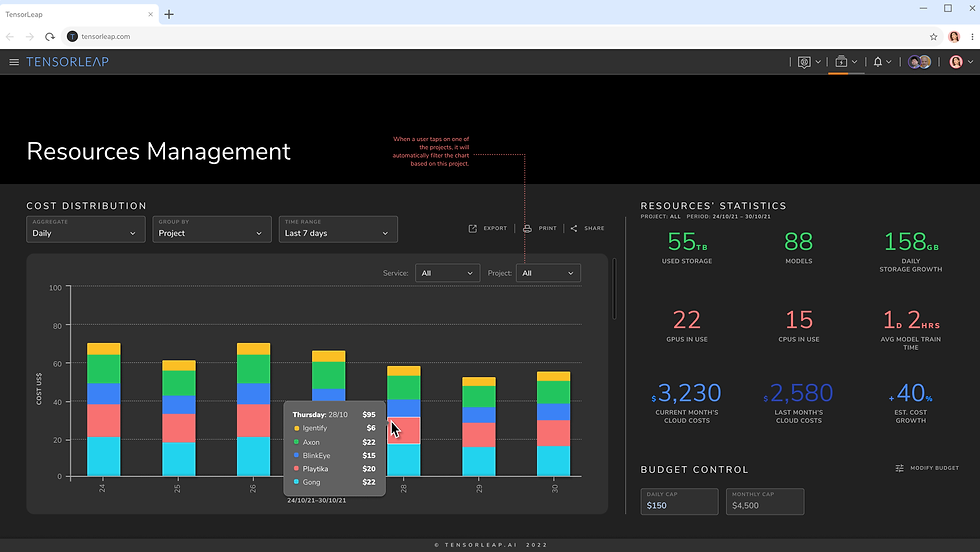 Tensorleap resources management screen with GPU cost distribution and daily and monthly budget caps
