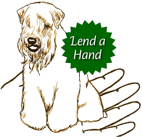 wheaten terrier rescues