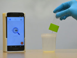 Scullion Strategy signs an exclusive option agreement for smartphone technology for animal breeding