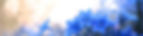 24811_edited.jpg