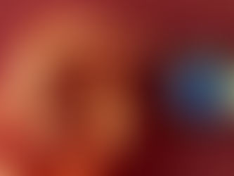 TRUMP arriva la cauzione da 5.000–15.000 $