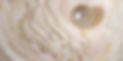 Untitled design-5_edited.jpg