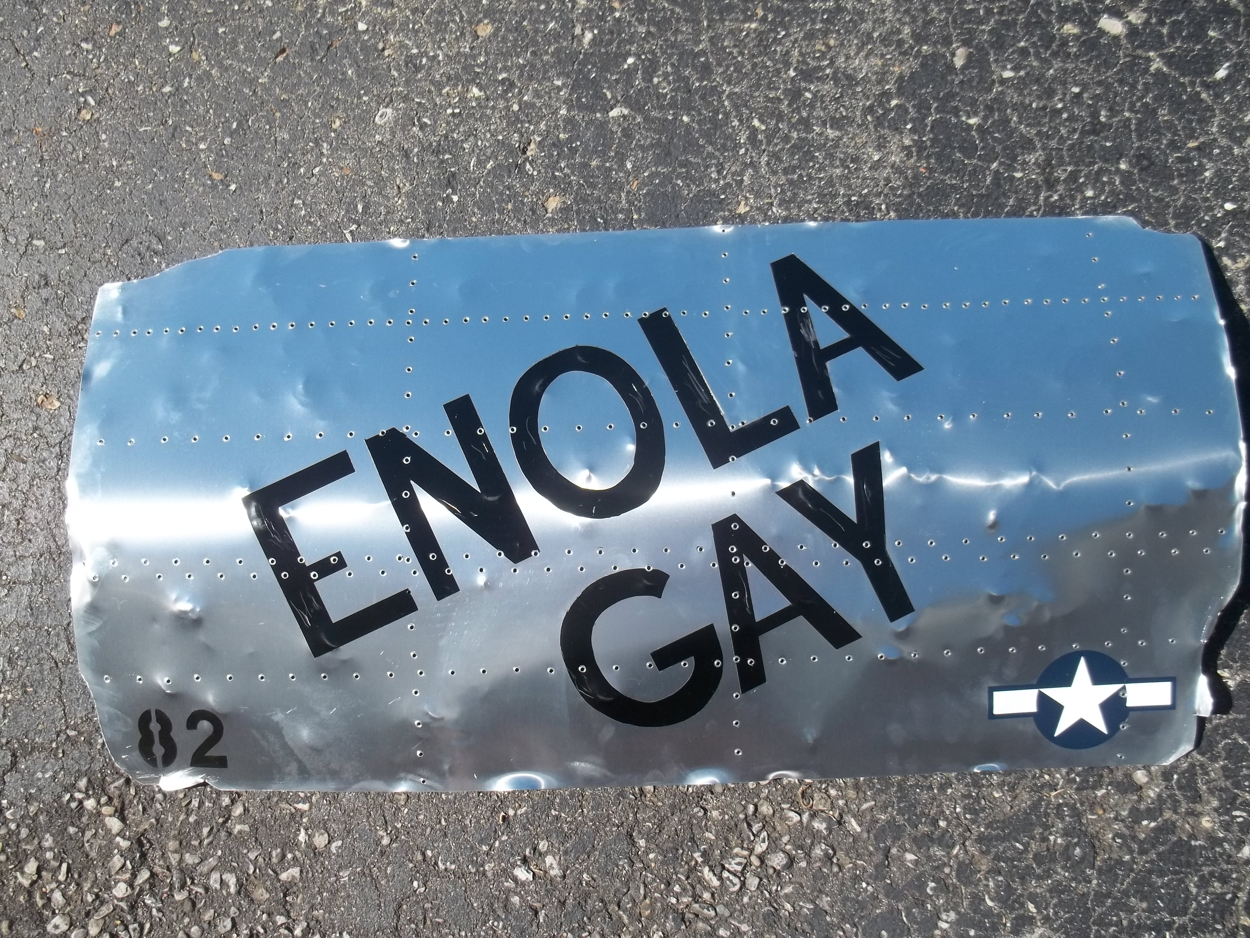 Insignia Nose Art Panels