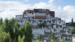 _DSC8074