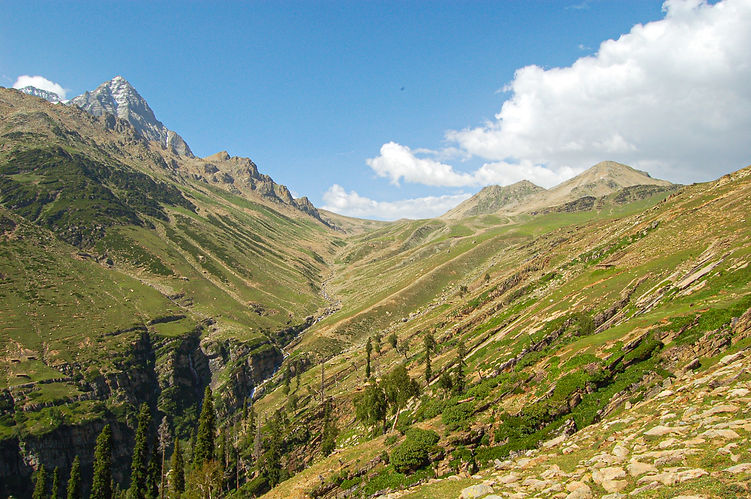 view of the pass from the edge of the forest.jpeg