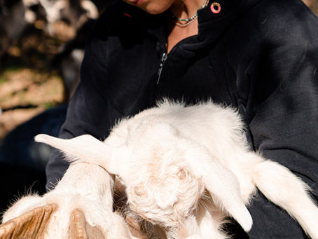 Aidez Audrey Lorient à financer un remplacement nécessaire, suite à l'annonce d'un cancer !