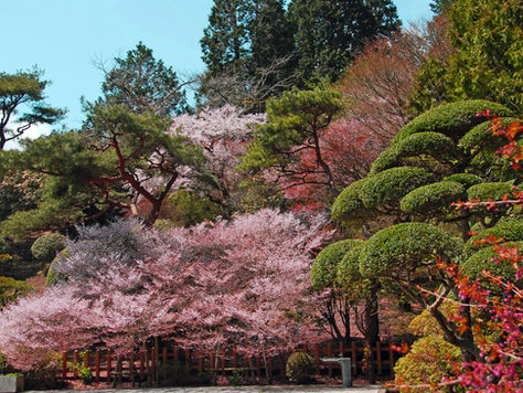 四季の風景が美しい恩賜箱根公園(箱根・神奈川)