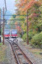 秋、緑、電車が美しい箱根登山ケーブルカー（箱根・神奈川）