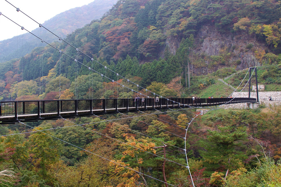 四季の風景が美しい鬼怒楯岩大吊橋(日光・栃木)