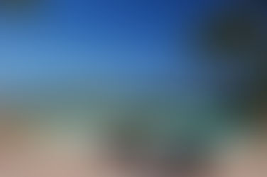 新築の戸建てがお目見え