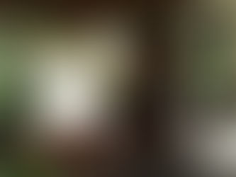 トランクショー@Hualalai