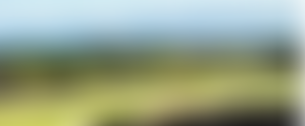 Forbes記事-Hawaii’s Hualalai Resort Caps Off 25th Anniversary With A Record-Breaking Year In Sales